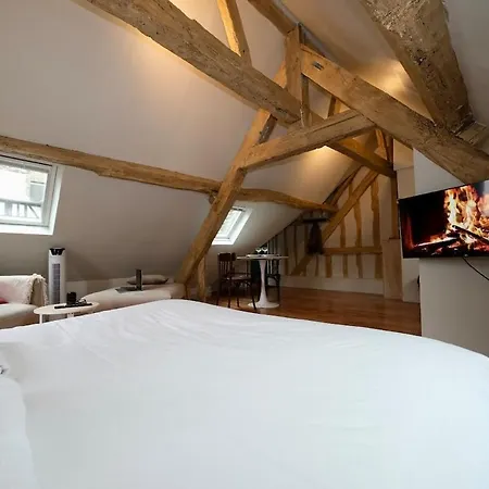 Les Toits Du Vieux Marche - Lägenhet Rouen