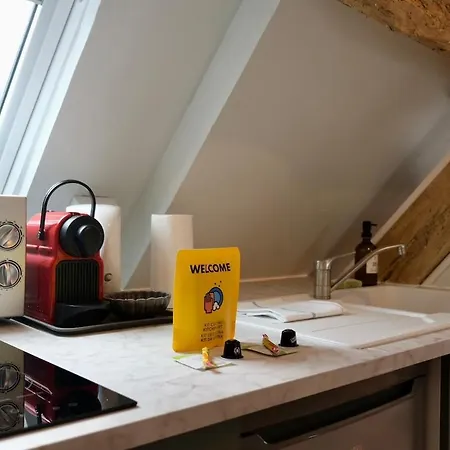 Apartament Les Toits Du Vieux Marche - *